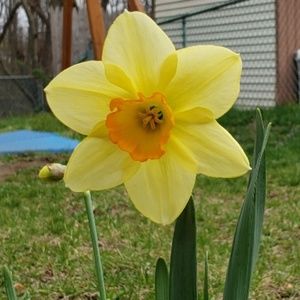 Meet your Posher, Afrona